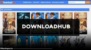 Downloadhub