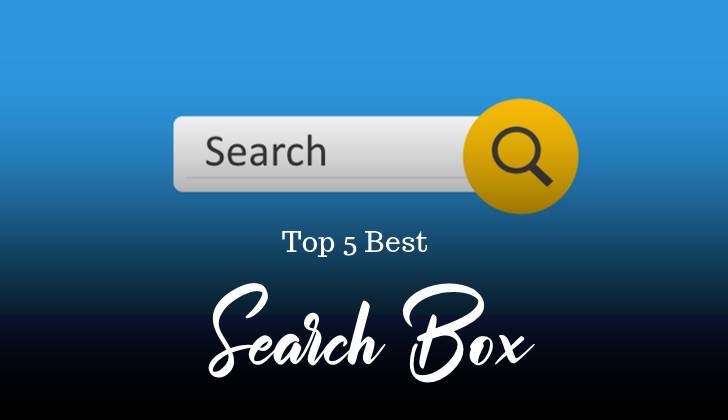 Top 5 Stylish Custom Search Box For Website