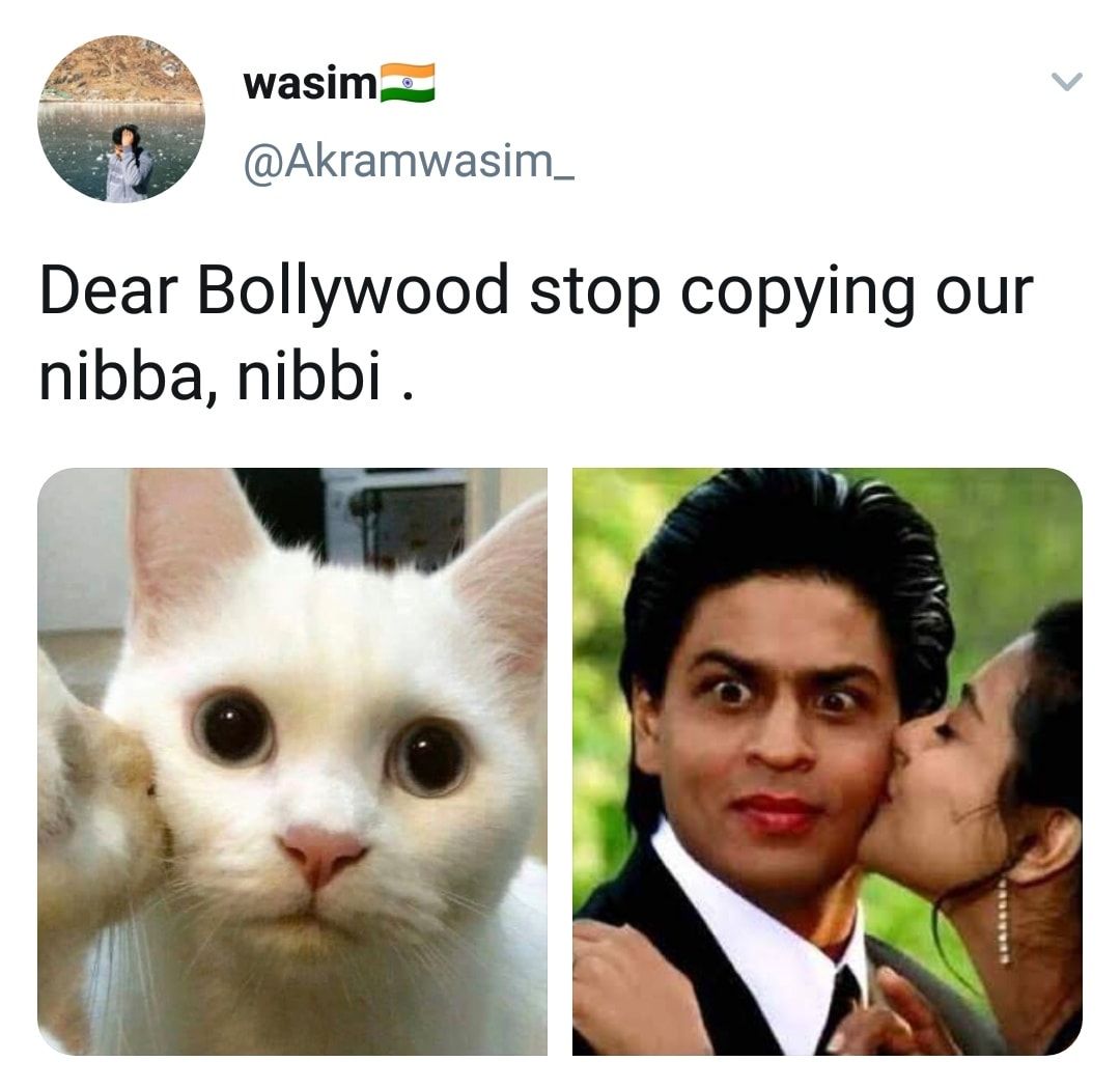 nibba-nibbi-means-in-hindi-nibba-nibbi