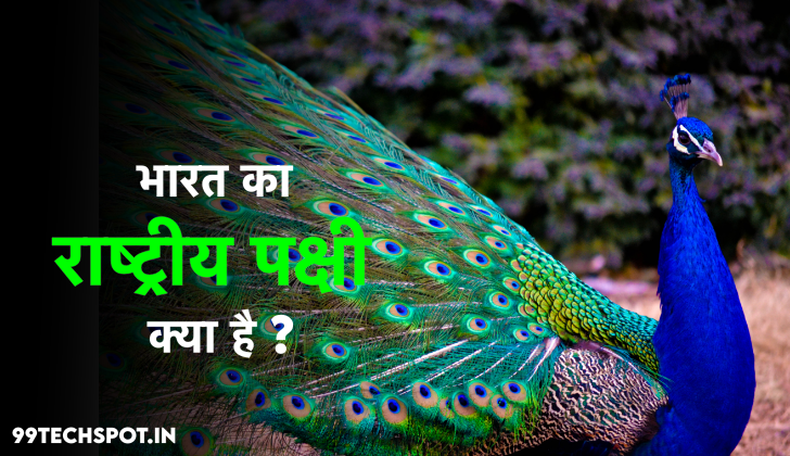 भारत का राष्ट्रीय पक्षी कौन है